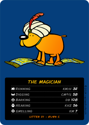 loldog TCG 21 Magician