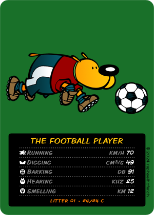 loldog TCG 24 Football Player